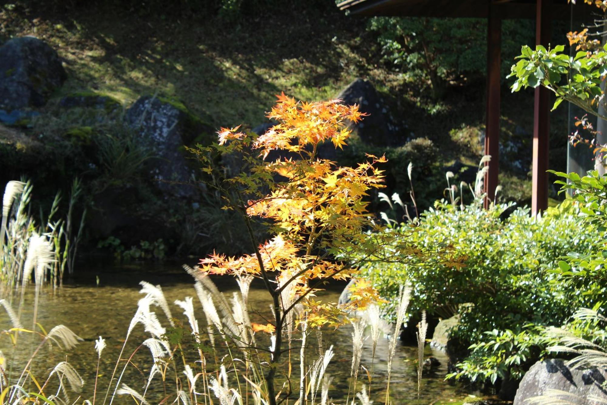 Hakone Yunohana Prince Hotel Kanagawa Exterior foto
